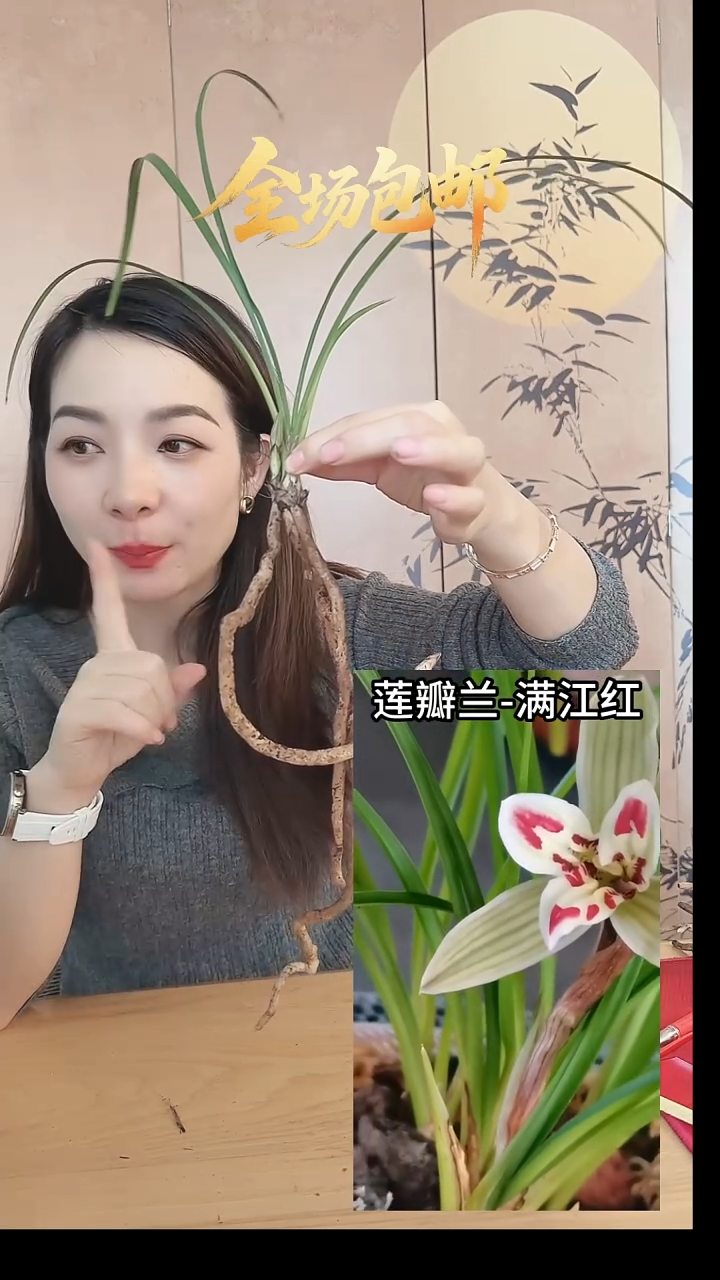 当前无花栽培后可以开花：满江红