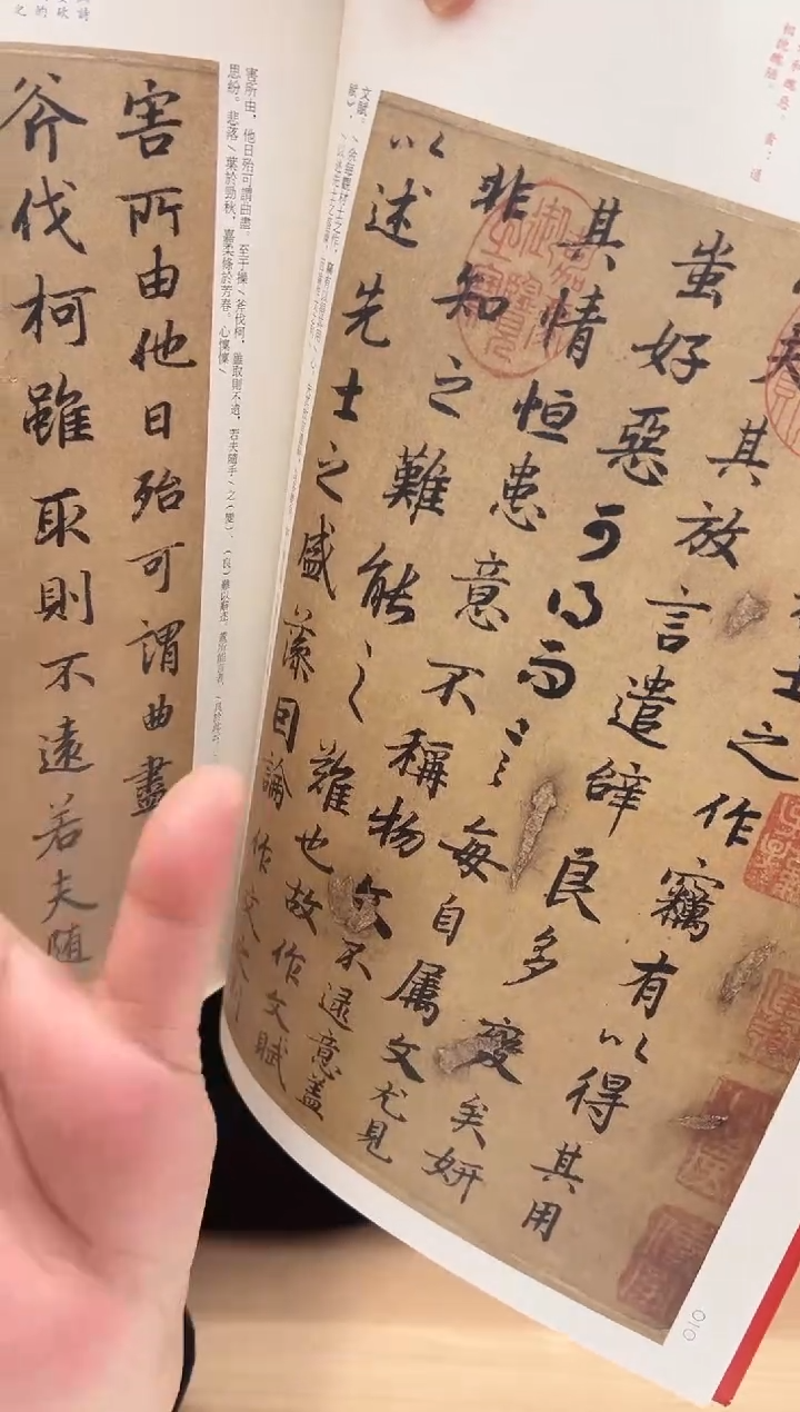 大红袍--50 陆柬之文赋