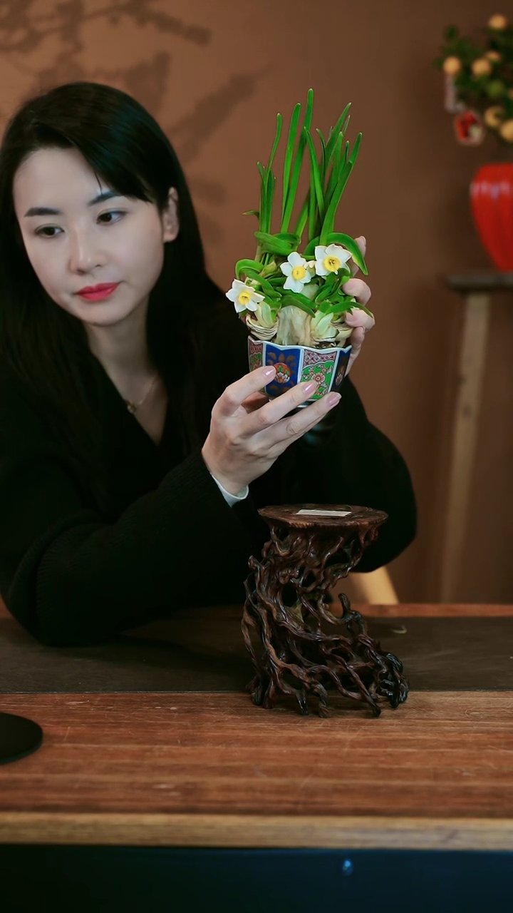 【闪购商品】盆景雕刻水仙