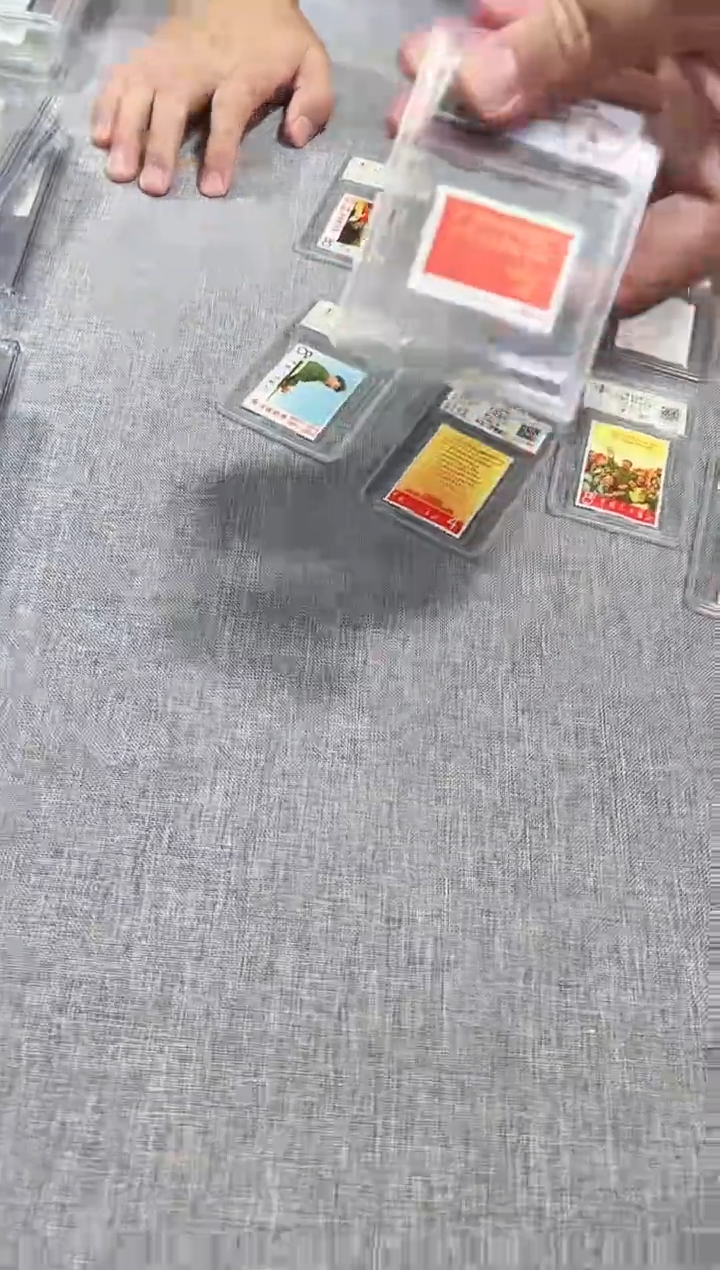 文8 邮票 鉴定评级