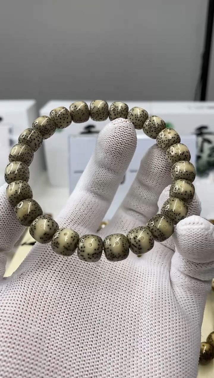 手串星月菩提一物一图-W51-189