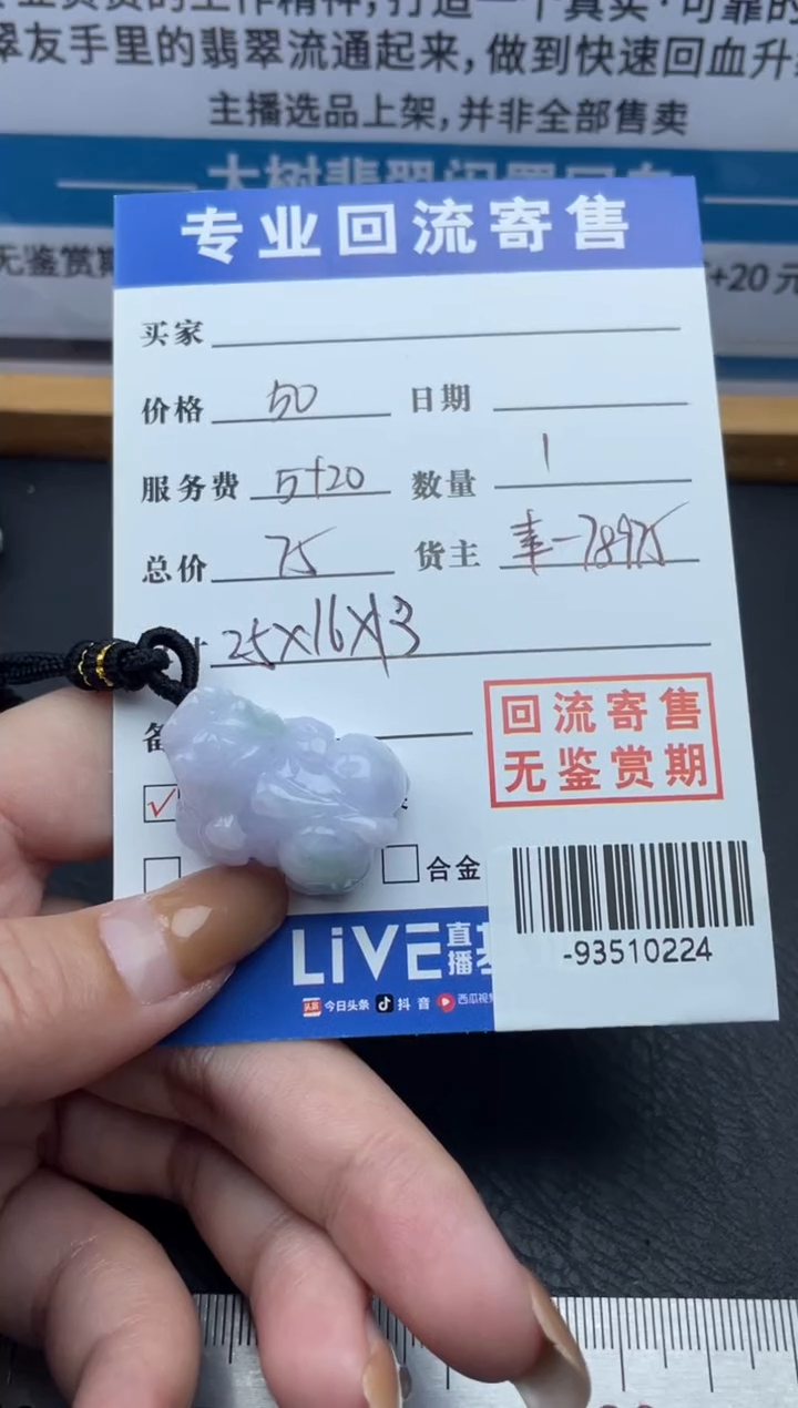 【闪购商品】翡翠颈饰未镶嵌多人-93510224