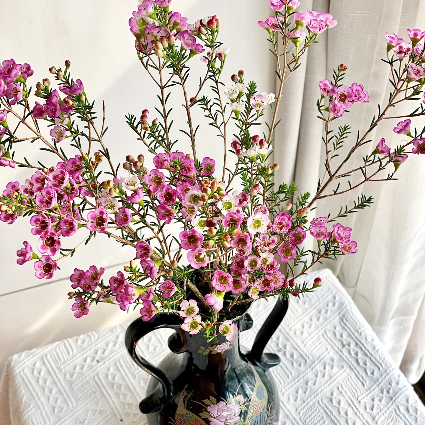 -腊梅--云南基地直发