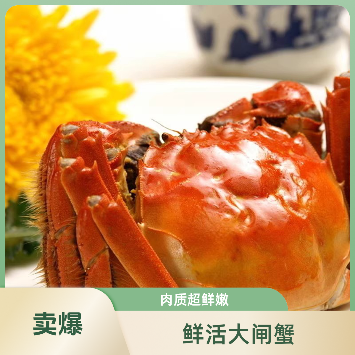 【活蟹】江苏大闸蟹 公蟹5.5-5.2两 母蟹4.5-4.2两 8只送2只 京东顺丰冷链
