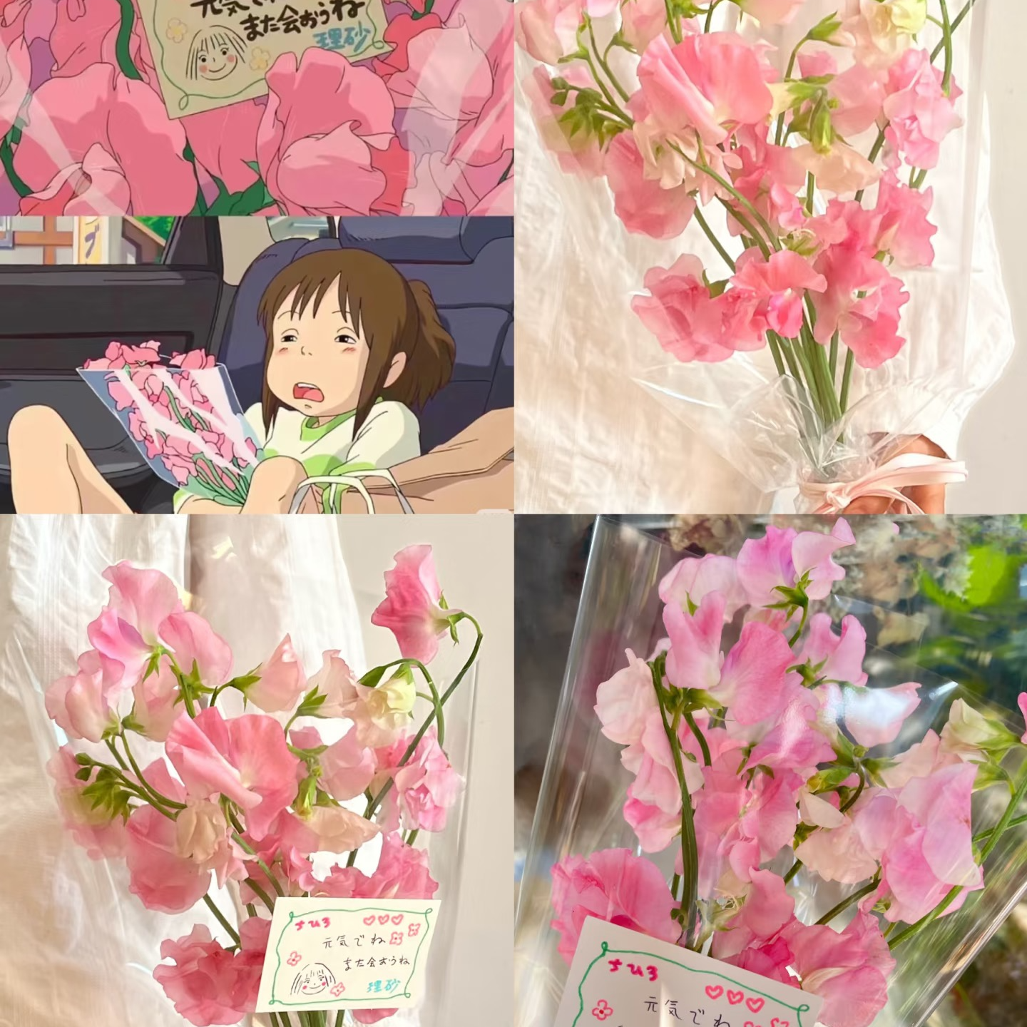 【香豌豆】花期长 新手友好   稀缺小众  鲜切花