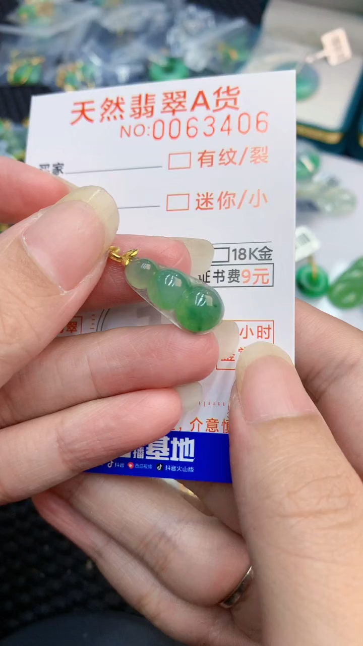 【闪购商品】翡翠颈饰18K金镶嵌            8