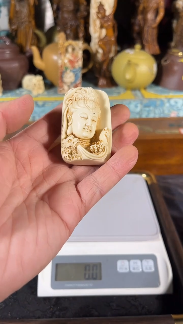 黄杨木111111111111111111