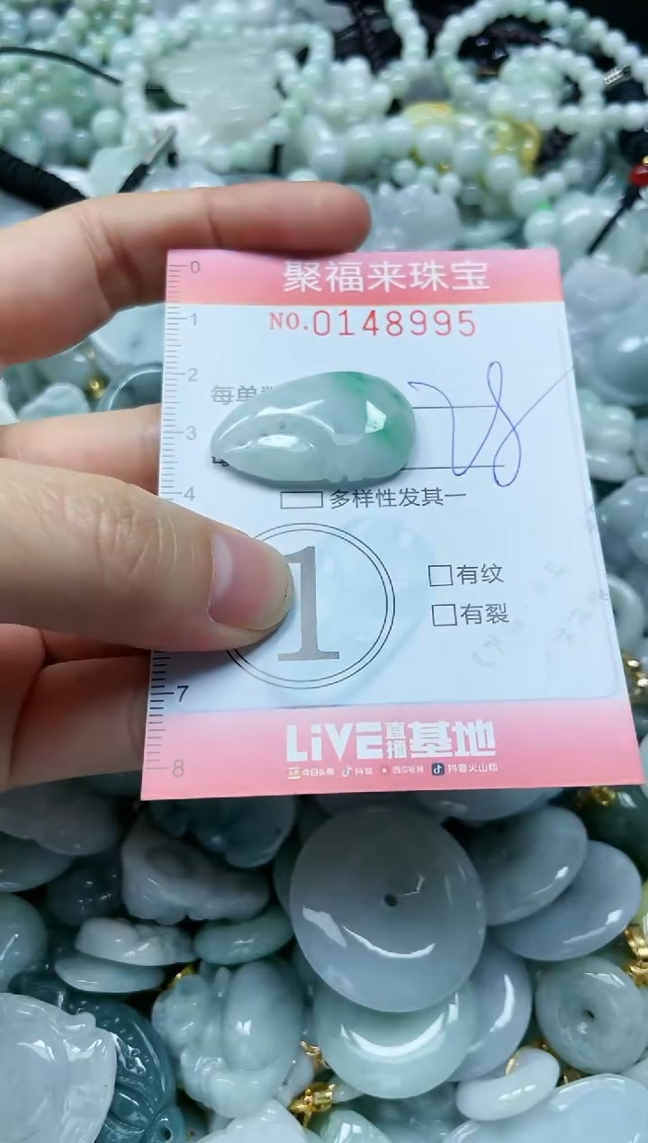 翡翠未镶嵌颈饰闪购0148995