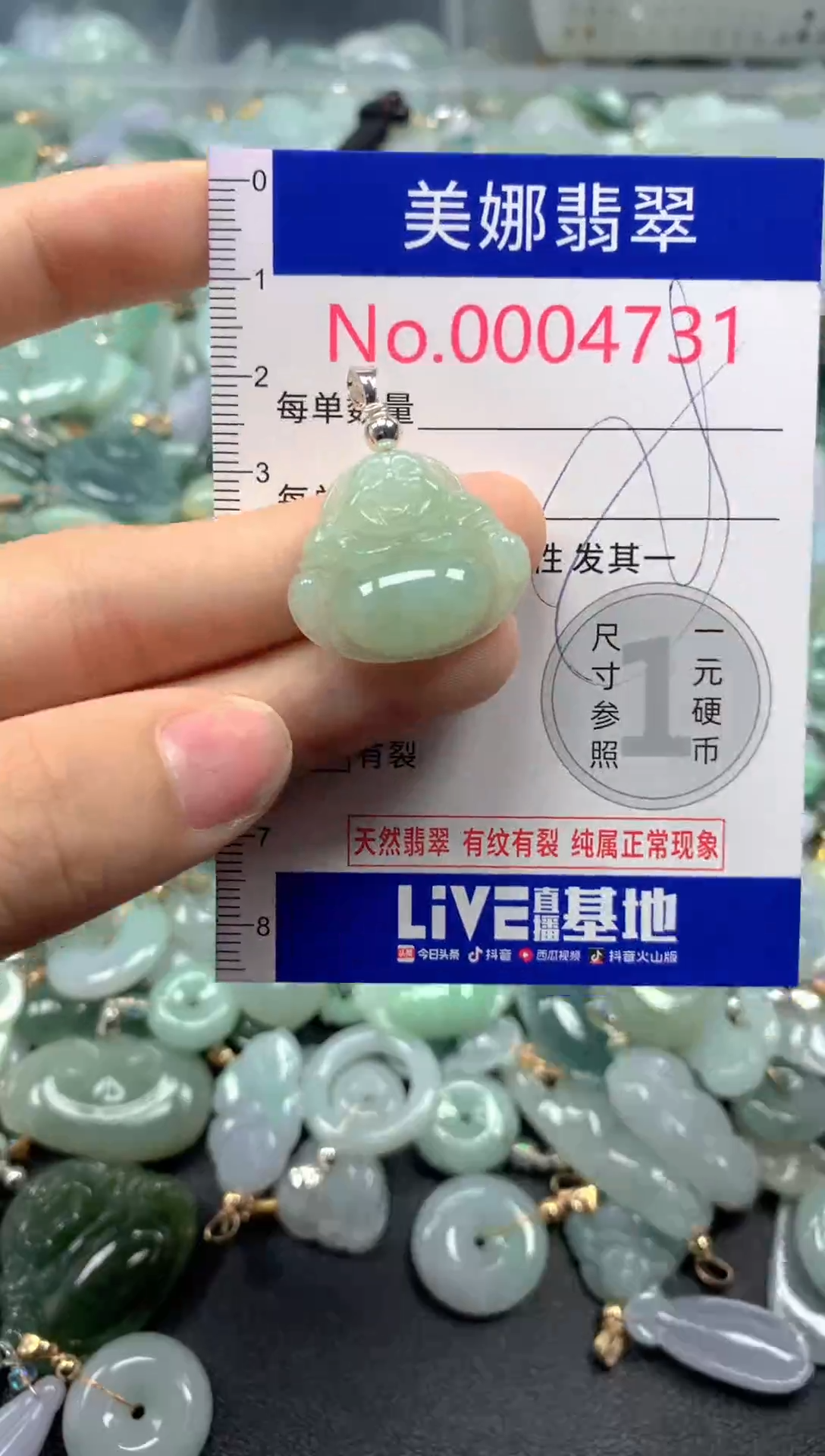 颈饰未镶嵌翡翠4731