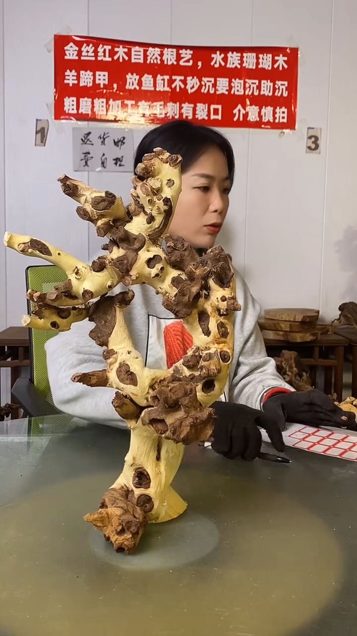 木用****9金丝红木  羊蹄甲