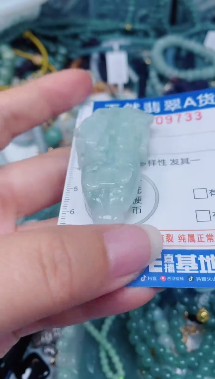 颈饰未镶嵌翡翠00009733