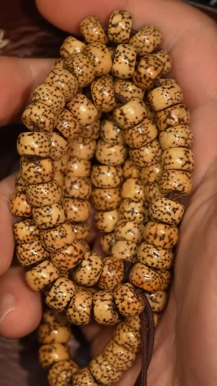 冲赛康胡子哥，藏传念珠56