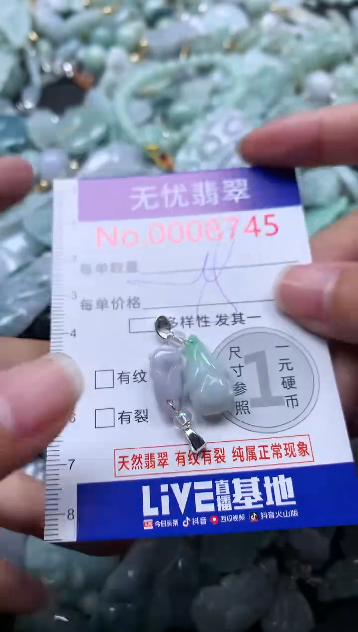 颈饰未镶嵌翡翠8745