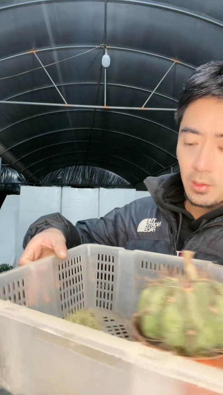 【闪购商品】筐拍 3号