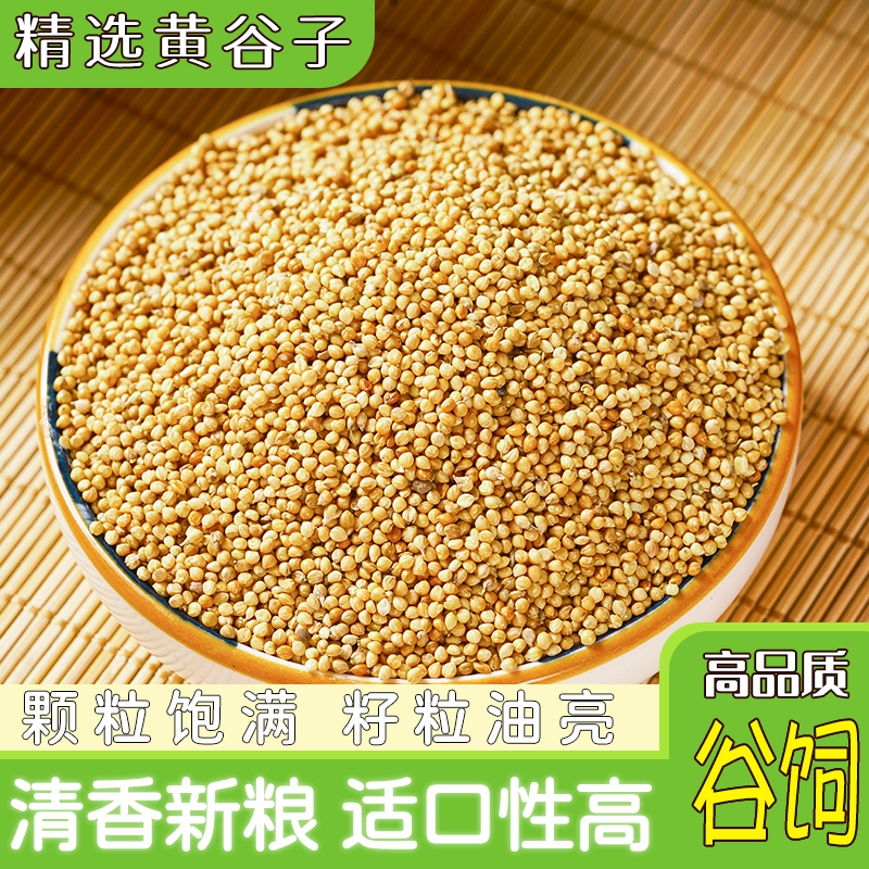 黄谷子带壳小米鸟粮中小型鹦鹉虎皮玄凤牡丹专用食物一斤