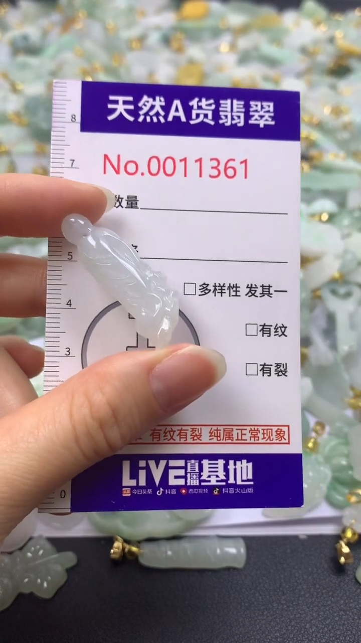 颈饰未镶嵌翡翠1