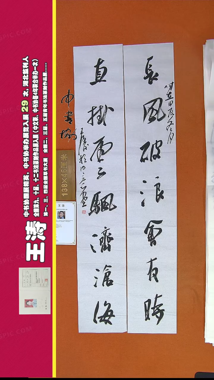 【闪购商品】书法48王涛书法作品