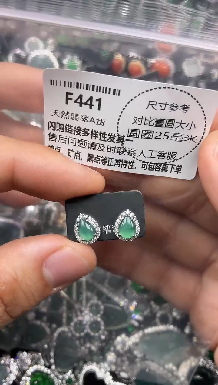 颈饰未镶嵌翡翠F441耳钉