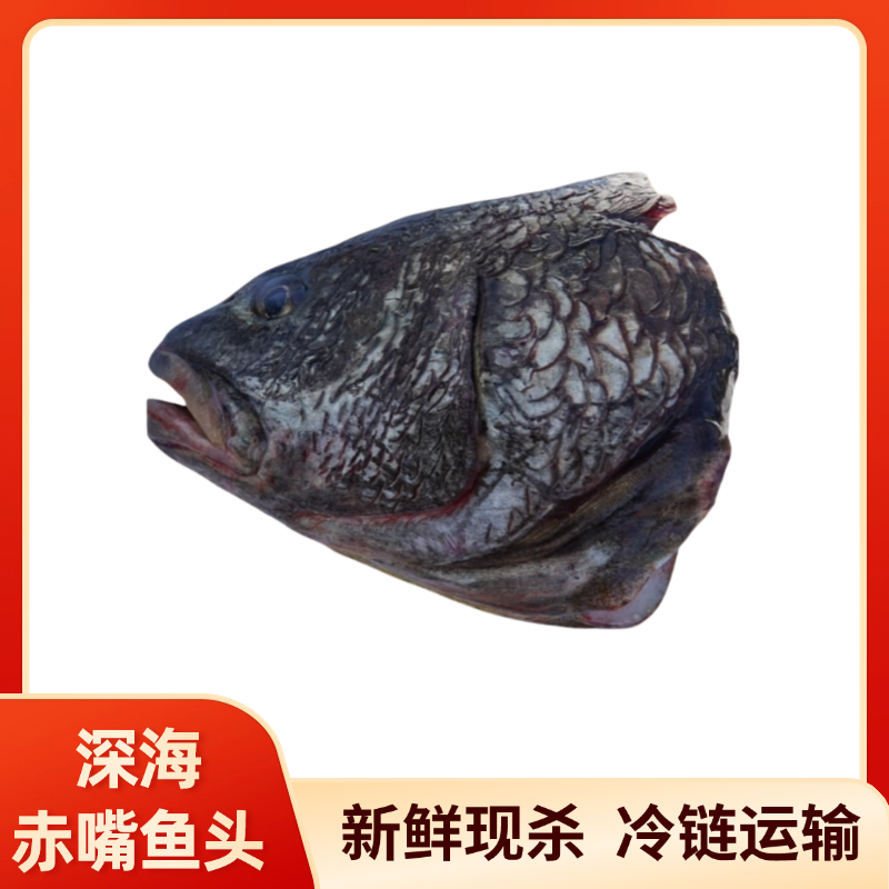 新鲜【鱼头+鱼尾】赤嘴鳘鱼米鱼鮸鱼鱼头煲汤煮汤鱼头汤海鲜