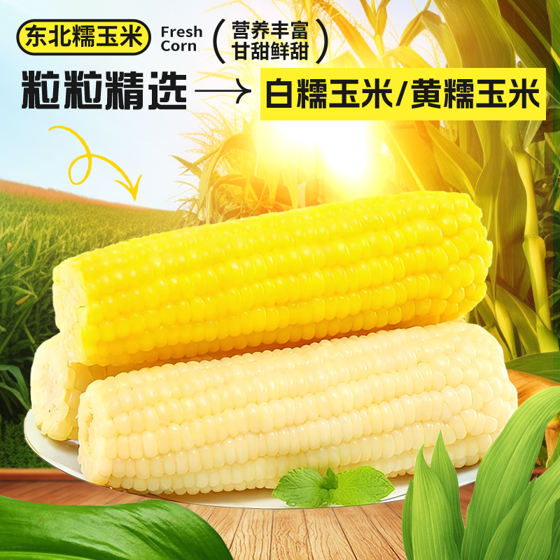2025东北粘糯鲜食玉米香甜软糯早餐速食代餐支持试吃一根