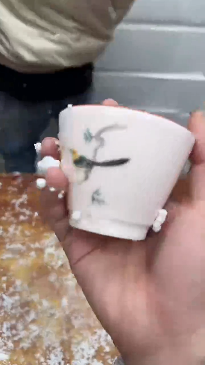 瓷片其他其他其他其他