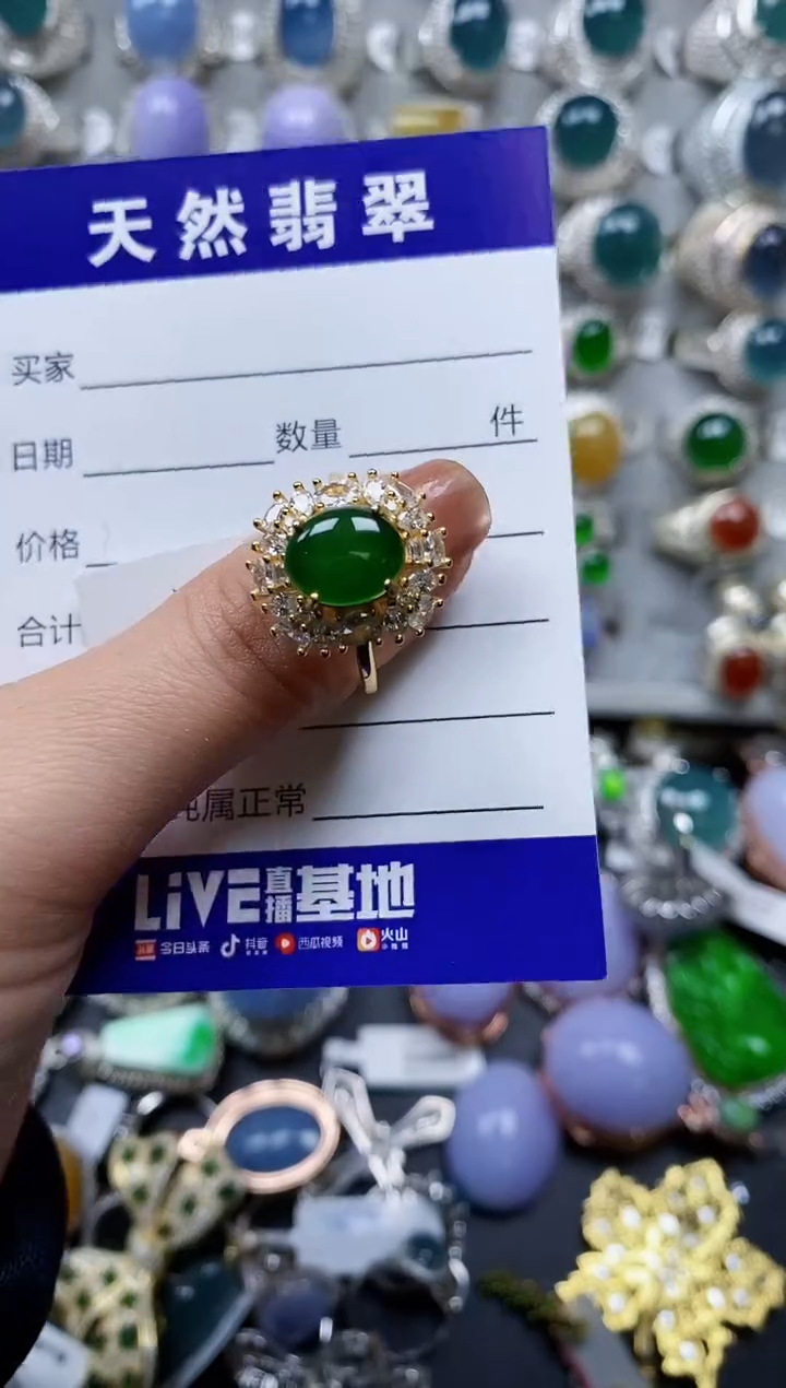 【闪购商品】翡翠颈饰银S925镶嵌0181