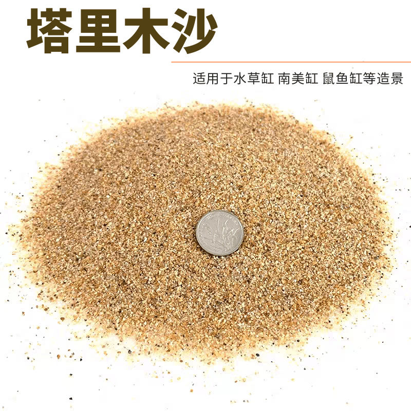 鱼缸底沙底砂塔里木沙黄金沙河沙鱼缸造景南美缸草缸化妆沙鼠鱼沙