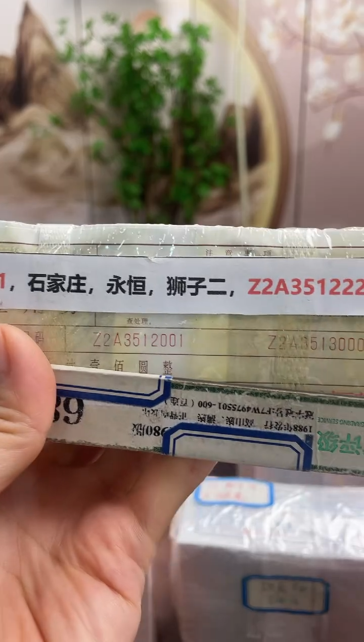 M 01，石家庄，永恒，狮子二，Z2A3512222