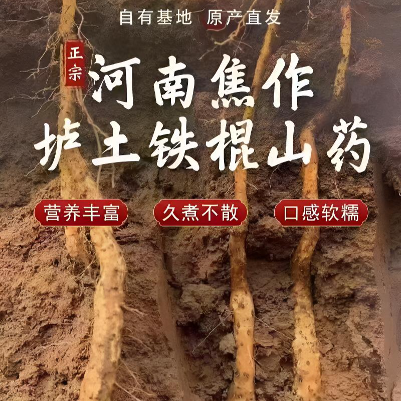 【焦作特产】焦作正宗垆土铁棍怀山药软糯香甜 新鲜采挖5斤净重