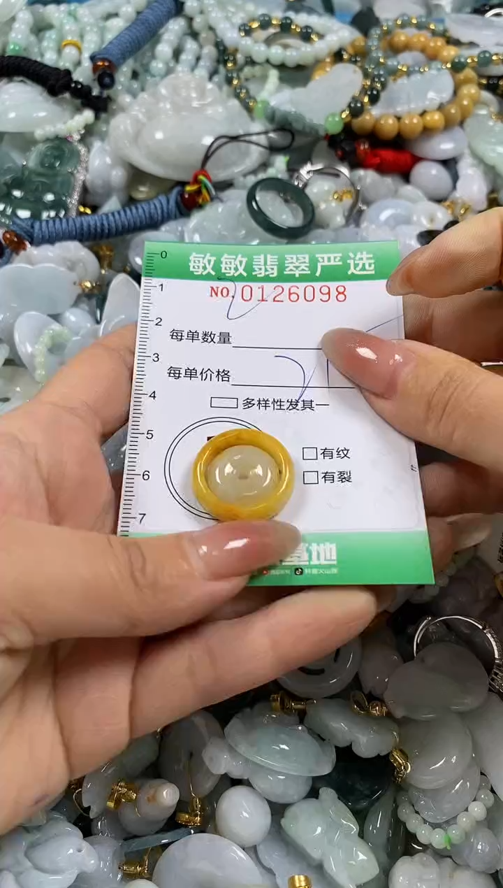 【闪购商品】翡翠颈饰未镶嵌闪购0126098