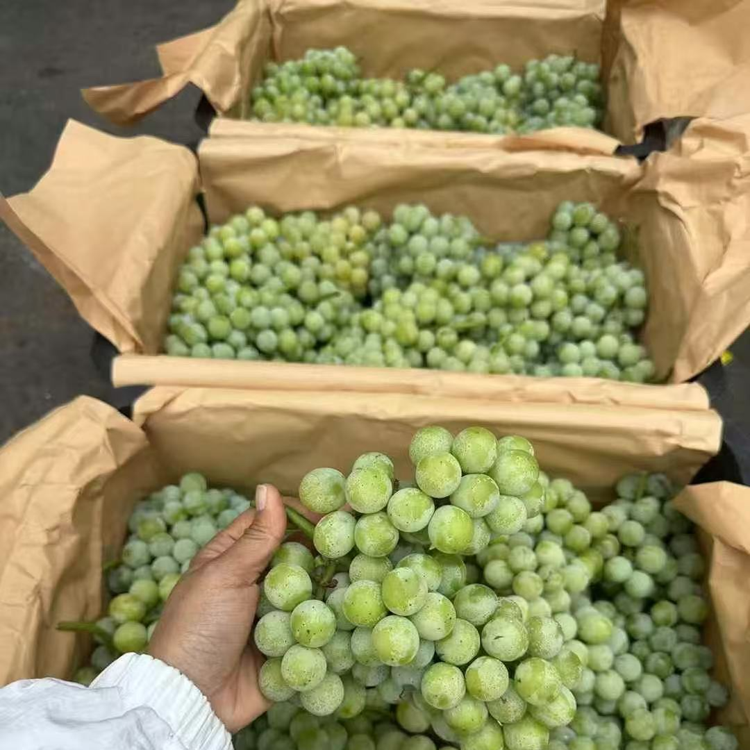 新鲜水晶葡萄一公斤云南省