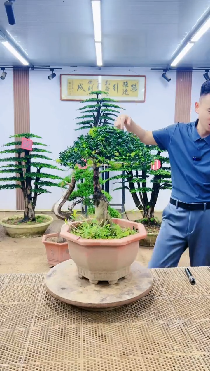 无花朵000000000000000