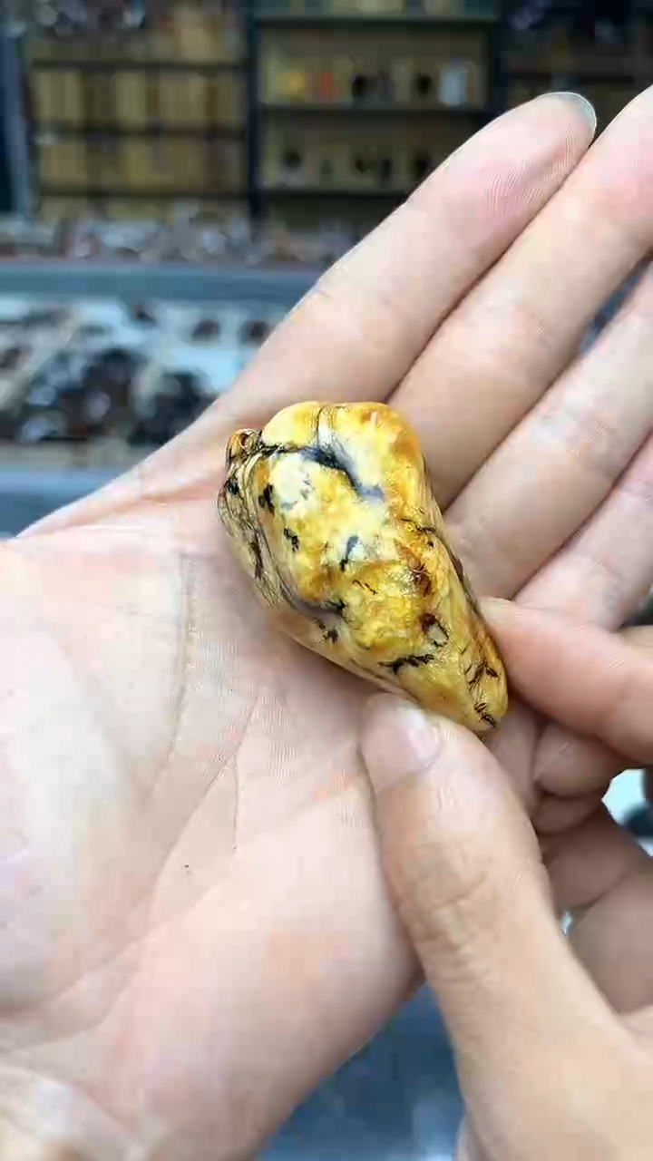 裸石琥珀未镶嵌✨****?抚顺琥珀随型吊坠花珀多样性发其一