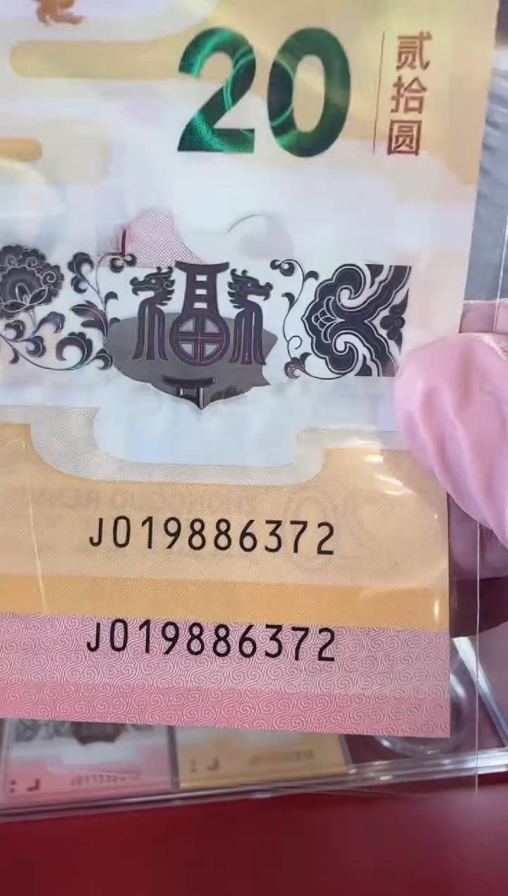 【闪购商品】塑料2025龙蛇 啊啊啊啊啊啊啊啊全同号裸