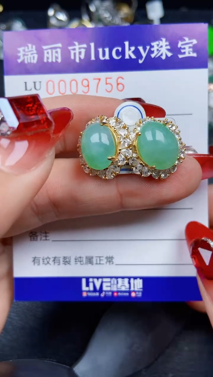 【闪购商品】翡翠颈饰银S925镶嵌9756