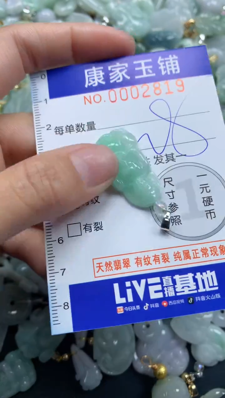 颈饰未镶嵌翡翠2819