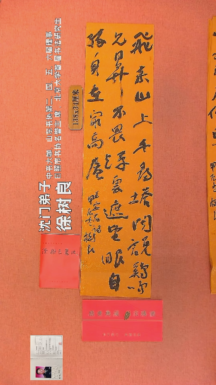 【闪购商品】书法25      徐树良书法作品