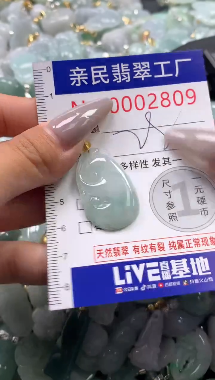 颈饰未镶嵌翡翠2809