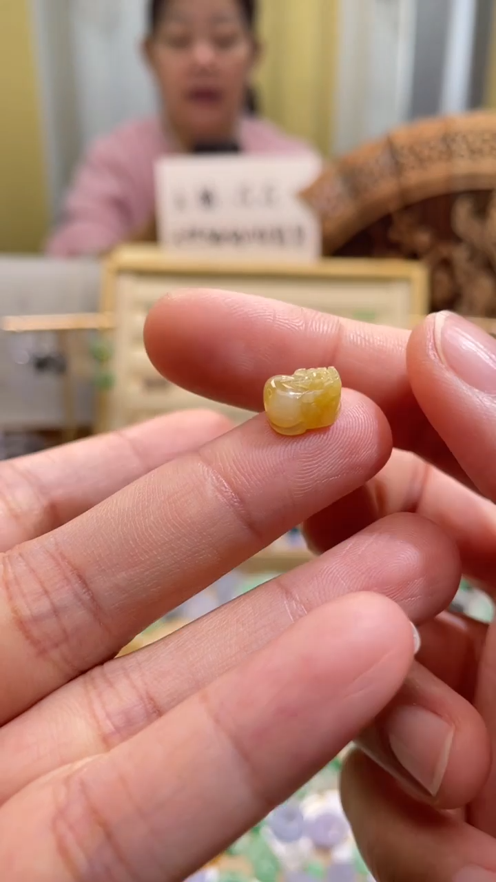 颈饰未镶嵌翡翠貔貅