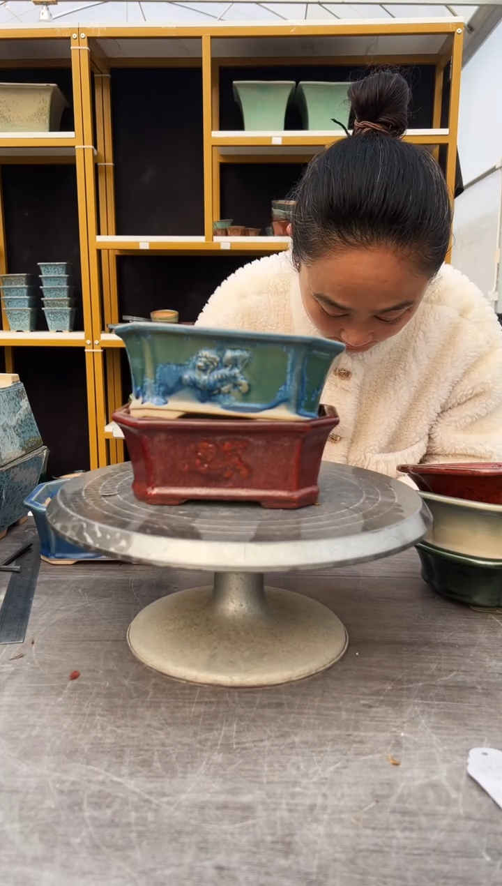 48号两盆微瑕组合