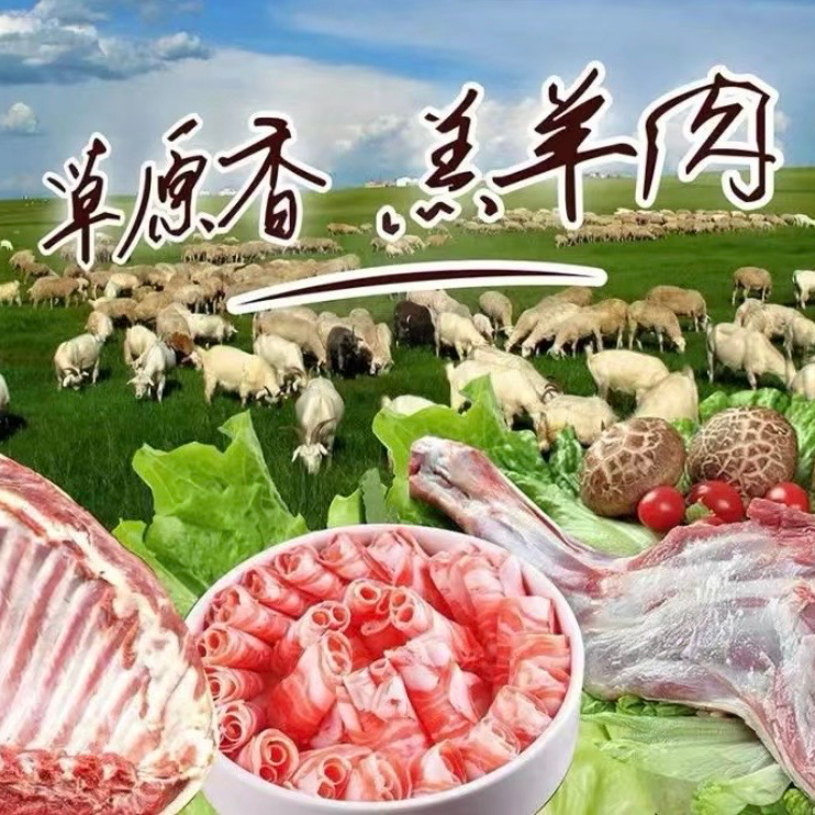 【暖冬特惠】羔羊肉卷一盒内蒙古锡林浩特散养羔羊（可溯源180天草原羊）
