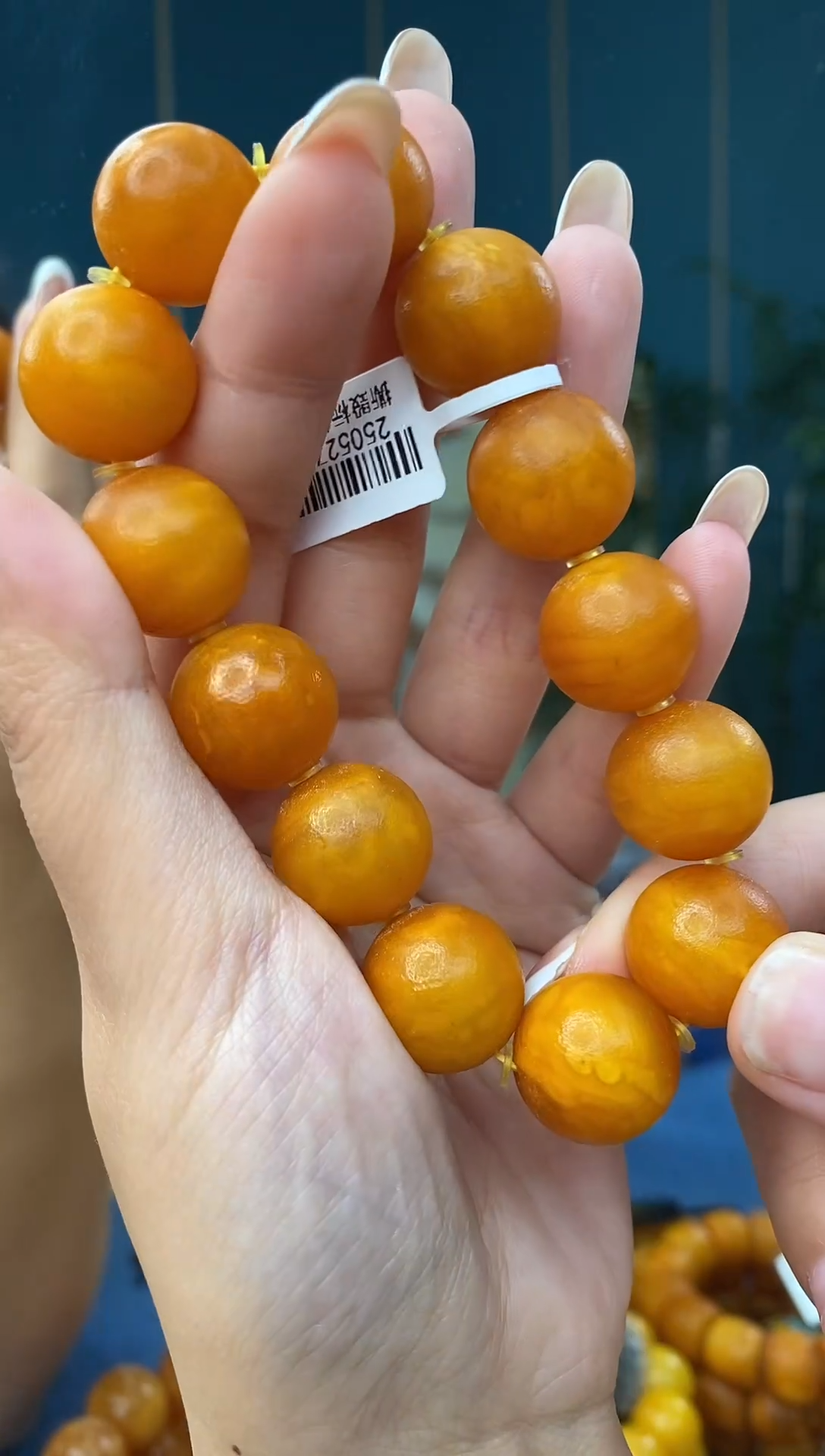 裸石琥珀未镶嵌12/28多样性发其一59