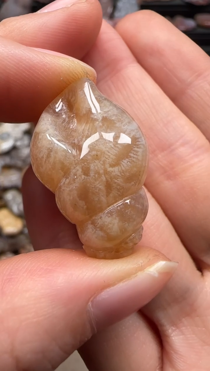 【闪购商品】硅化珊瑚（珊瑚玉）颈饰未镶嵌540