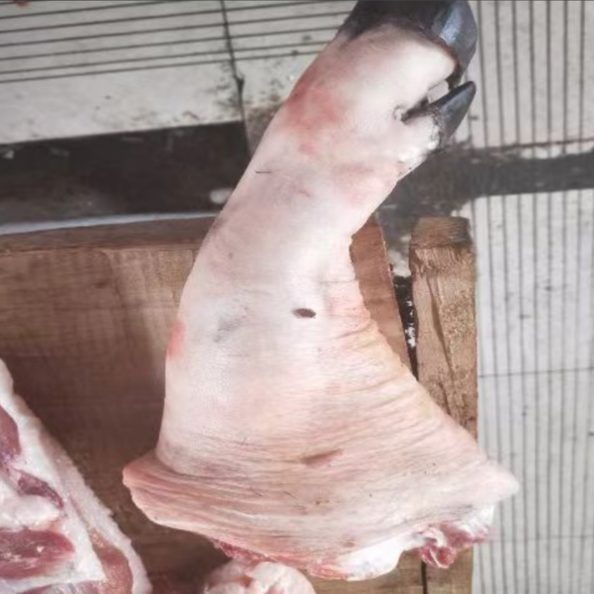 【猪脚现称链接】安安猪农家粮食喂养黑毛土猪猪脚顺丰包邮