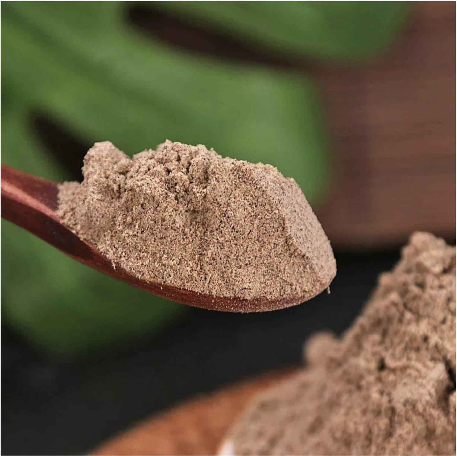 野生酸枣仁粉｜没有额外加糖（秀秀）