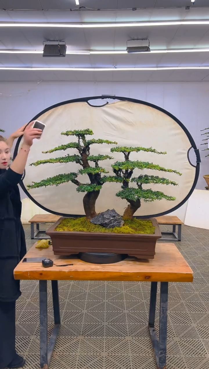 无花朵l**蒋一物一拍一物一拍