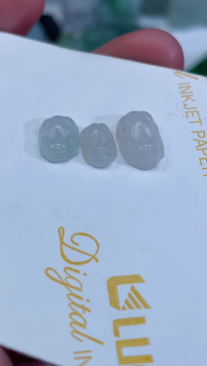 【闪购商品】翡翠颈饰未镶嵌貔貅