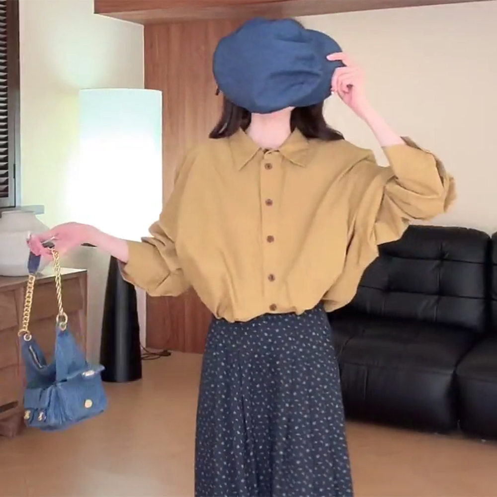 【芬兰午后】秋季新款韩版休闲百搭气质翻领衬衫上衣女C5920
