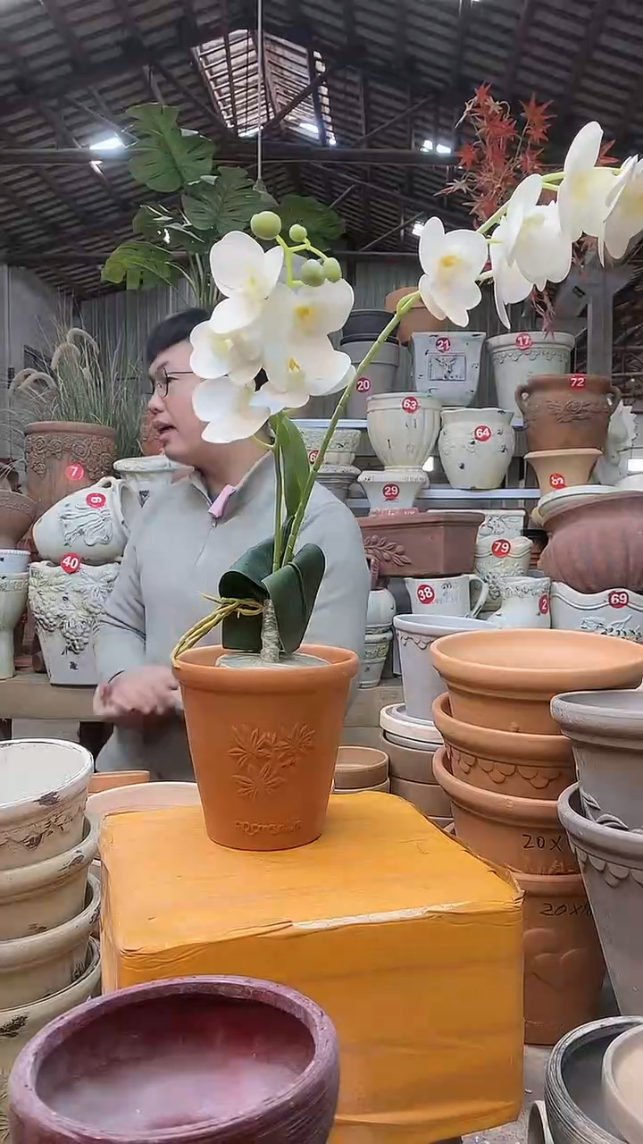 【闪购商品】缸1个13*13红陶香草无托无托