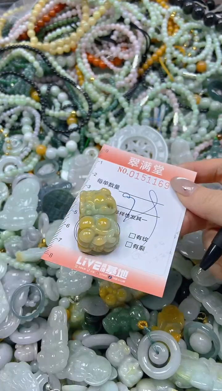 翡翠未镶嵌颈饰闪购0151169